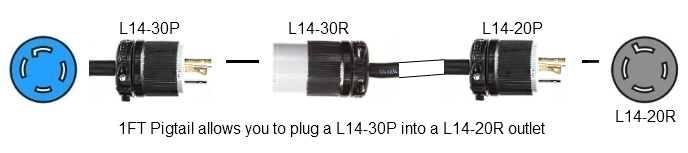 nema l6-20p